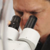 Pathologist salary