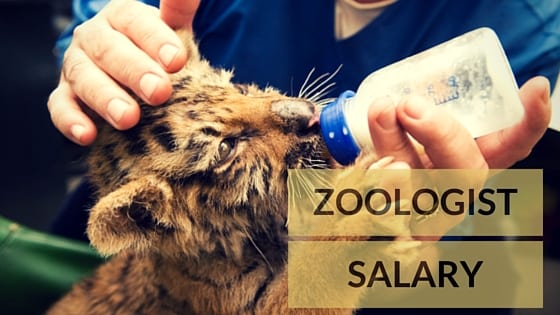 Zoologist Salary, Job Description, School and Education